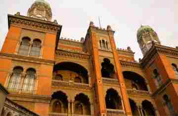  Fiocruz inicia testes em humanos para tratar Atrofia Muscular Espinhal 